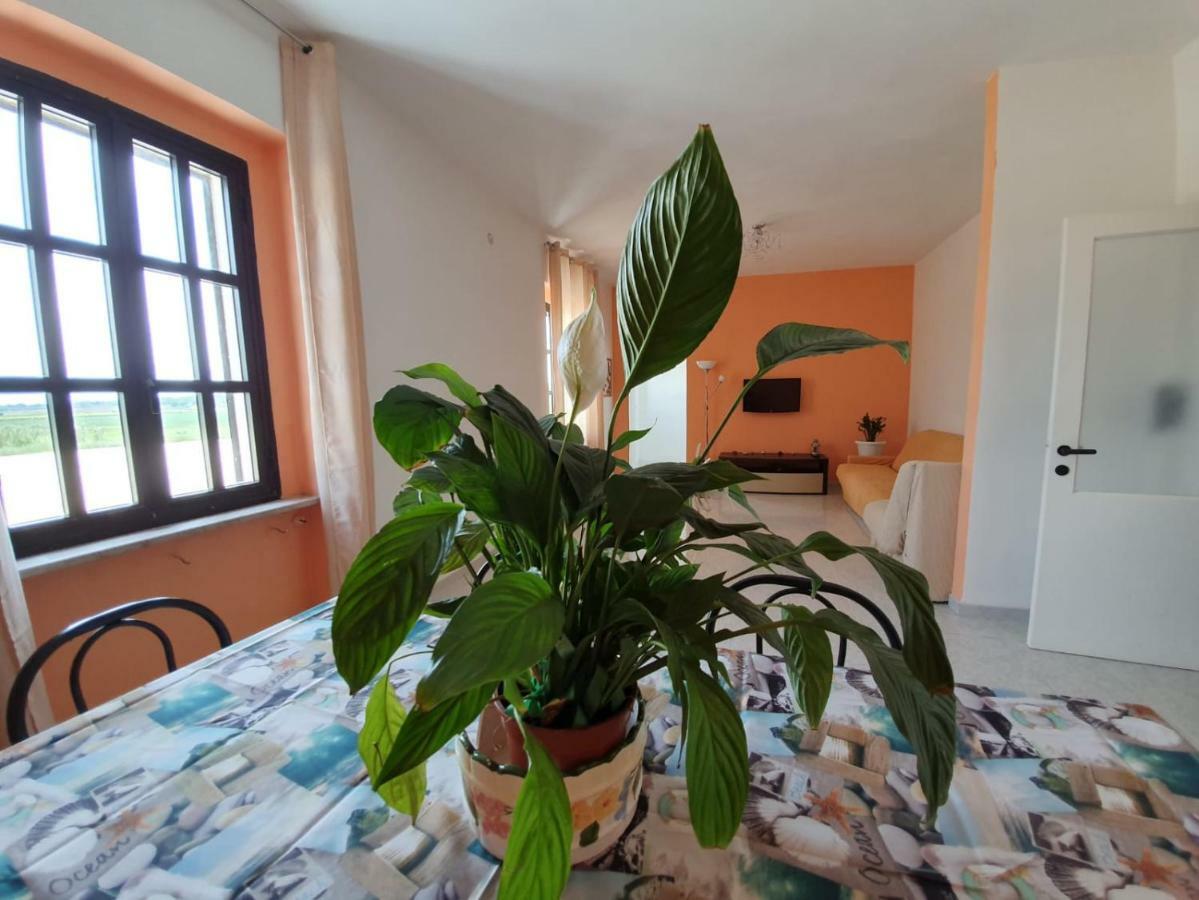 Il Casale Di Zi'Leo Bed & Breakfast กัมโปมาริโน ภายนอก รูปภาพ